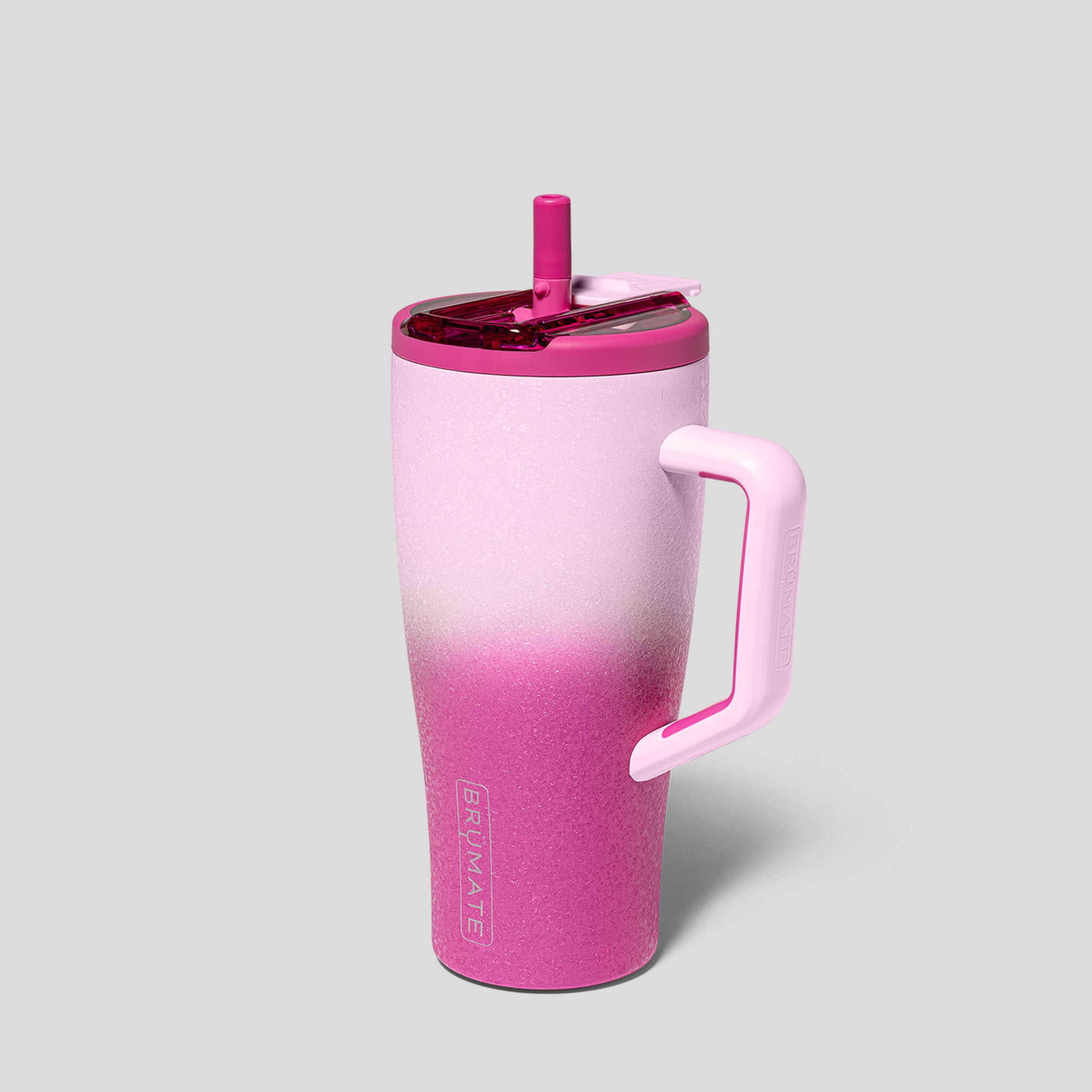 Era Flip 30oz | Frosted Rose